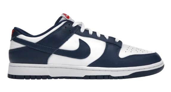 Nike Dunk Low kompatibel
